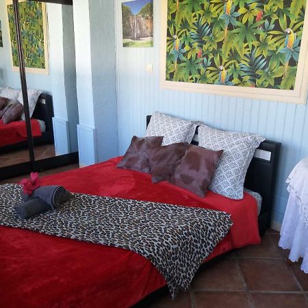 Appartement Au fruit delicieux à Le Tampon Extérieur photo
